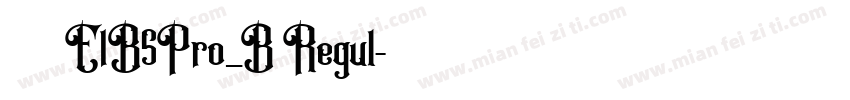 文鼎黑體 E1B5Pro_B Regul字体转换